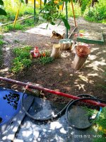 IMG-20190802-WA0152.jpg