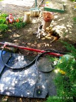 IMG-20190802-WA0155.jpg