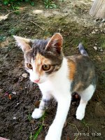 IMG-20190802-WA0154.jpg