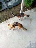 IMG-20190802-WA0156.jpg