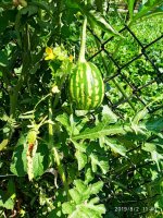 IMG-20190803-WA0002.jpg
