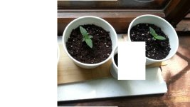 photo_2019-06-14_13-54-02 — копия (2).jpg