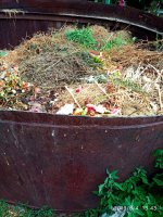 IMG-20190805-WA0001.jpg