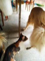 IMG-20190805-WA0005.jpg