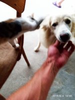 IMG-20190805-WA0004.jpg