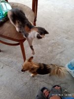 IMG-20190805-WA0003.jpg