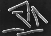 Без названия (1).jpg