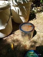 IMG-20190806-WA0009.jpg
