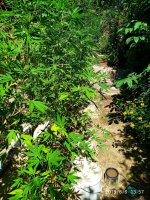 IMG-20190806-WA0004.jpg