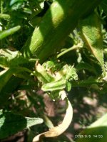 IMG-20190806-WA0015.jpg