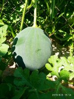 IMG-20190806-WA0026.jpg