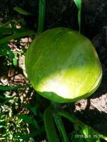 IMG-20190806-WA0025.jpg
