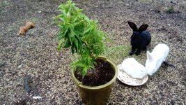 DSC_9971.JPG