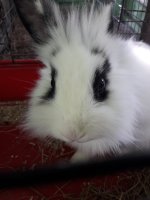 20190807_140228.jpg