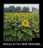 1564604139_1561439246_0026.jpg