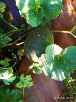 IMG-20190808-WA0002.jpg