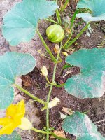 IMG-20190808-WA0009.jpg