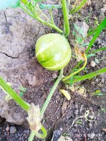 IMG-20190808-WA0010.jpg