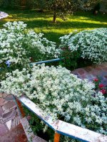 IMG-20190808-WA0007.jpg