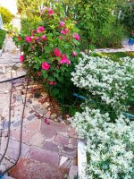 IMG-20190808-WA0003.jpg