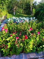 IMG-20190808-WA0005.jpg