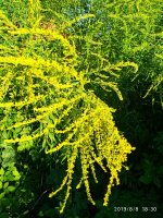 IMG-20190808-WA0026.jpg