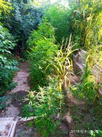 IMG-20190808-WA0025.jpg
