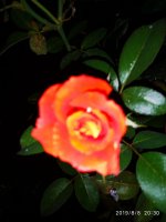 IMG-20190808-WA0043.jpg