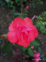 IMG-20190808-WA0045.jpg