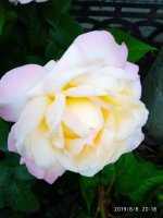 IMG-20190808-WA0042.jpg