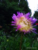 IMG-20190808-WA0041.jpg