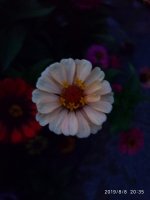 IMG-20190808-WA0046.jpg