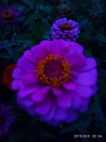 IMG-20190808-WA0039.jpg