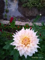 IMG-20190808-WA0028.jpg