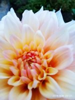 IMG-20190808-WA0031.jpg