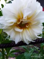 IMG-20190808-WA0030.jpg