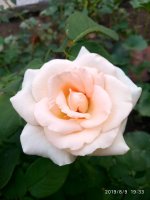 IMG-20190809-WA0020.jpg
