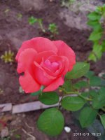 IMG-20190809-WA0017.jpg