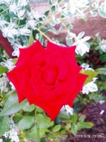 IMG-20190809-WA0016.jpg