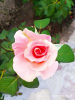 IMG-20190809-WA0015.jpg