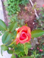 IMG-20190809-WA0013.jpg