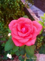 IMG-20190809-WA0010.jpg