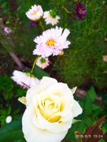 IMG-20190809-WA0002.jpg