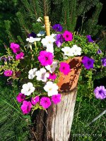 IMG-20190810-WA0001.jpg