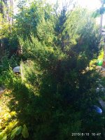 IMG-20190810-WA0007.jpg