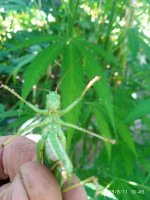 IMG-20190811-WA0023.jpg