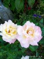 IMG-20190811-WA0075.jpg
