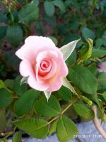 IMG-20190811-WA0076.jpg