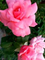 IMG-20190811-WA0078.jpg