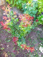 IMG-20190811-WA0072.jpg